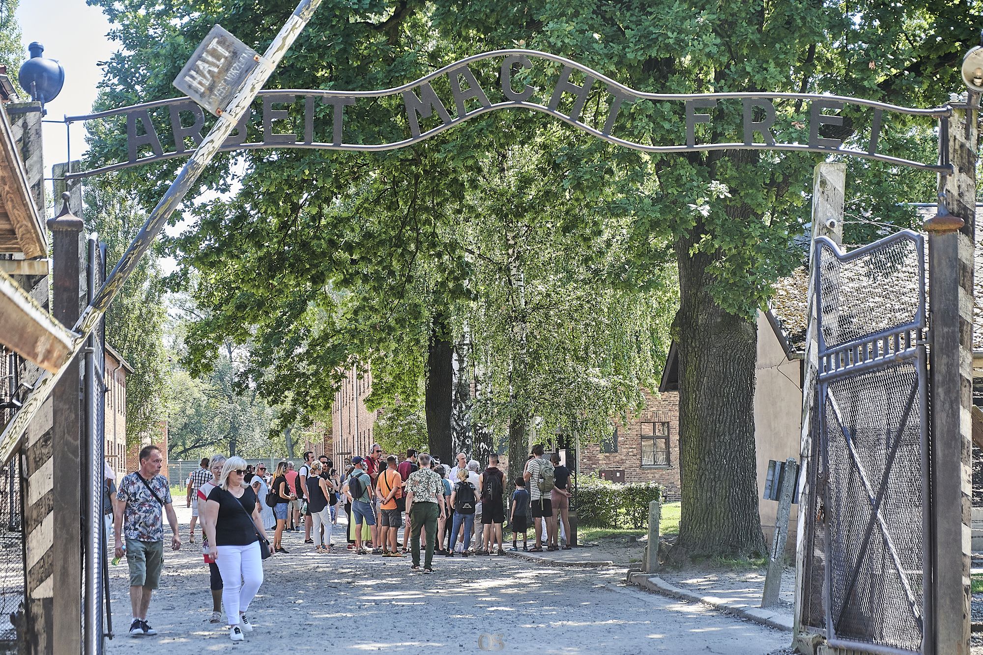Auschwitz 4.jpg